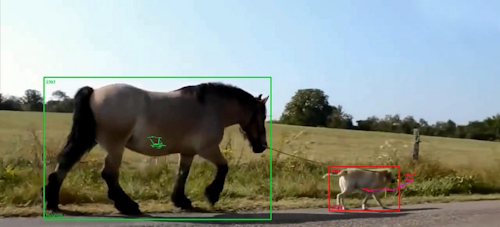 BitRefine Heads is multi-purpose deep learning video analysis platform