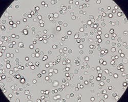 Shared User Pr8a41a9a1d4ed4cb9a44e83dc567313aa Shared User Pr8a41a9a1d4ed4cb9a44e83dc567313aa