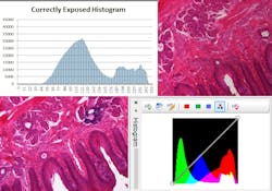 Shared User Prdb67ee56ef414bd78cfd00175ad2de50 Shared User Prdb67ee56ef414bd78cfd00175ad2de50