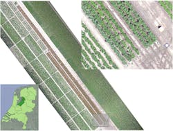 Figure 1. An RGB image of the experimental field was acquired with a UAV on June 19, 2017. The length of the rows is 110 m for rows 1–3 and 66 m for rows 4–7. The location is near Tollebeek in the Netherlands (lower left). Figure 1. An RGB image of the experimental field was acquired with a UAV on June 19, 2017. The length of the rows is 110 m for rows 1–3 and 66 m for rows 4–7. The location is near Tollebeek in the Netherlands (lower left).