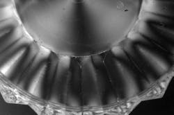 Figure 7: Polarized light causes the stress lines in a plastic lid to be highlighted. Figure 7: Polarized light causes the stress lines in a plastic lid to be highlighted.