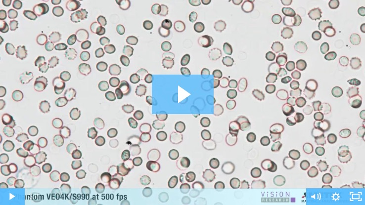 Screen Shot 2019 10 31 At 4 03 49 Pm