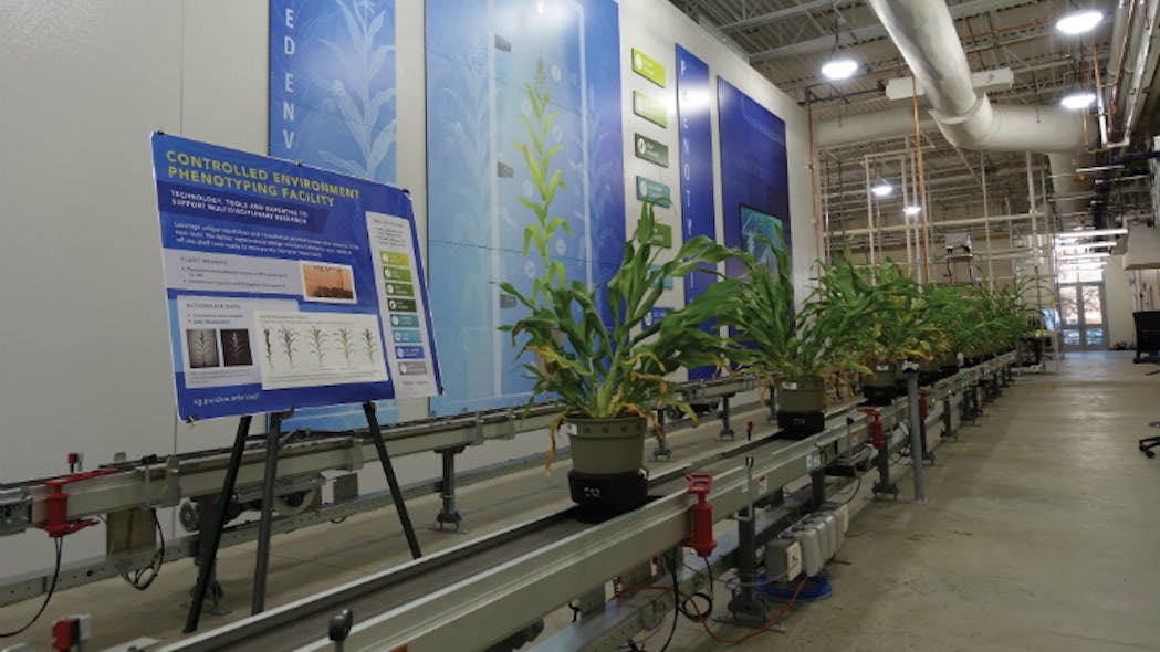 Figure 1: Sorghum plants are transported by conveyor to the imaging chambers.