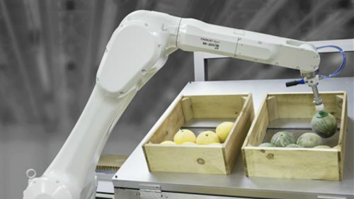 Robot Arm Bin Picking