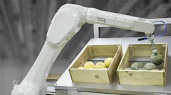 Robot Arm Bin Picking