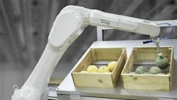 Robot Arm Bin Picking 5dd82f28ce2e7 Robot Arm Bin Picking 5dd82f28ce2e7