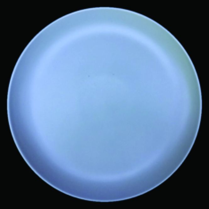 Figure 4: Surface defects in a ceramic dinner plate are extremely difficult to detect with standard lighting configurations.