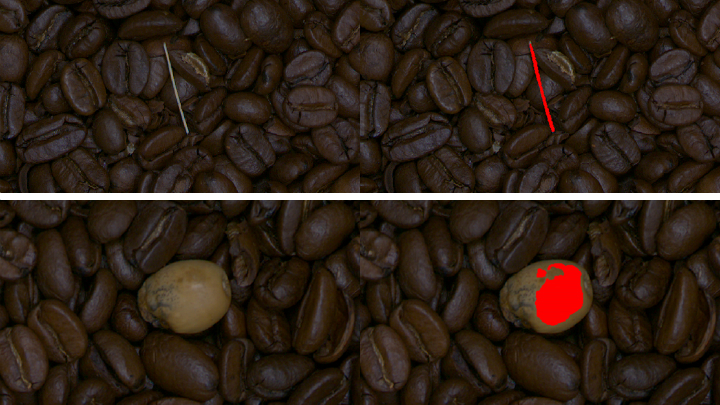 Easy Segment Euresys Deep Learning Library