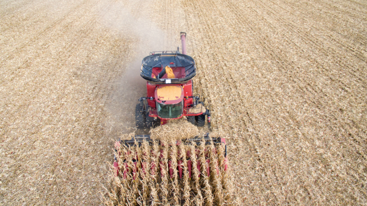 Figure 1: A DJI quadcopter drone provides an aerial image of corn harvest in a Peterson Farms Seed corn field.