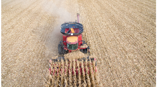 Figure 1: A DJI quadcopter drone provides an aerial image of corn harvest in a Peterson Farms Seed corn field.