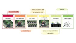 The steps that define the image identification pipeline, detailing the different convolutional neural networks involved in the process. The steps that define the image identification pipeline, detailing the different convolutional neural networks involved in the process.