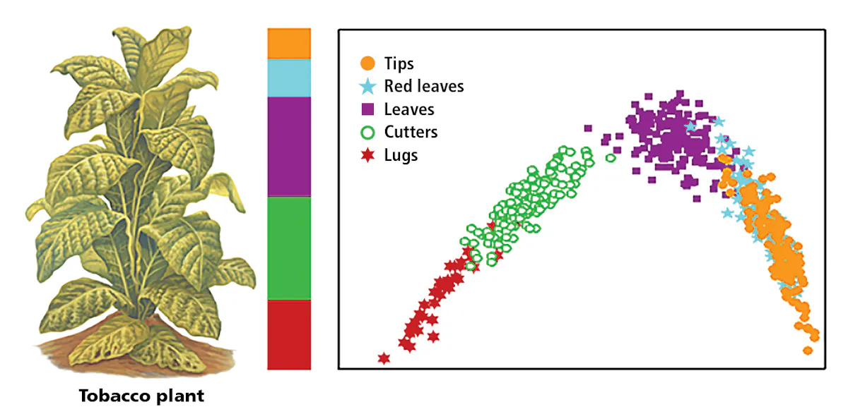 hyperspectral imaging altria tobacco inspection | Vision Systems Design