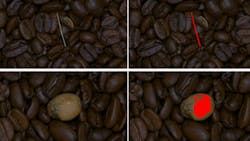 Figure 1: After training the Euresys EasySegment library with less than 100 sample images of good coffee beans without debris, the tool identifies objects it recognizes as non-coffee bean items. Figure 1: After training the Euresys EasySegment library with less than 100 sample images of good coffee beans without debris, the tool identifies objects it recognizes as non-coffee bean items.