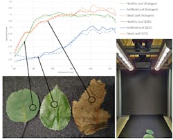 Figure 7: In comparing halogen and the CCS/EFFILUX LED using a Photonfocus camera, the new light proves capable of delivering equivalent spatial and spectral uniformity, without the drawbacks. Figure 7: In comparing halogen and the CCS/EFFILUX LED using a Photonfocus camera, the new light proves capable of delivering equivalent spatial and spectral uniformity, without the drawbacks.
