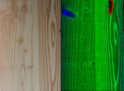 Hyperspectral imaging reliably recognizes knotholes, spots with resin and high moisture in wood. Hyperspectral imaging reliably recognizes knotholes, spots with resin and high moisture in wood.