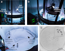 Figure 2: An experimental setup for capturing images of fruit fly swarms.