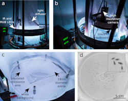 Figure 2: An experimental setup for capturing images of fruit fly swarms. Figure 2: An experimental setup for capturing images of fruit fly swarms.