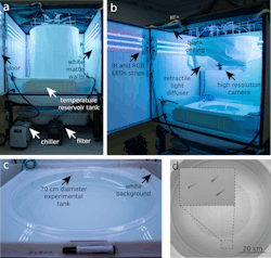 Figure 1: An experimental setup for capturing images of a school of juvenile zebrafish.