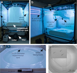 Figure 1: An experimental setup for capturing images of a school of juvenile zebrafish. Figure 1: An experimental setup for capturing images of a school of juvenile zebrafish.