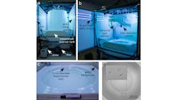 Zebrafish Group Counting Experimental Setup Hero 5ec2e07459f2f Zebrafish Group Counting Experimental Setup Hero 5ec2e07459f2f