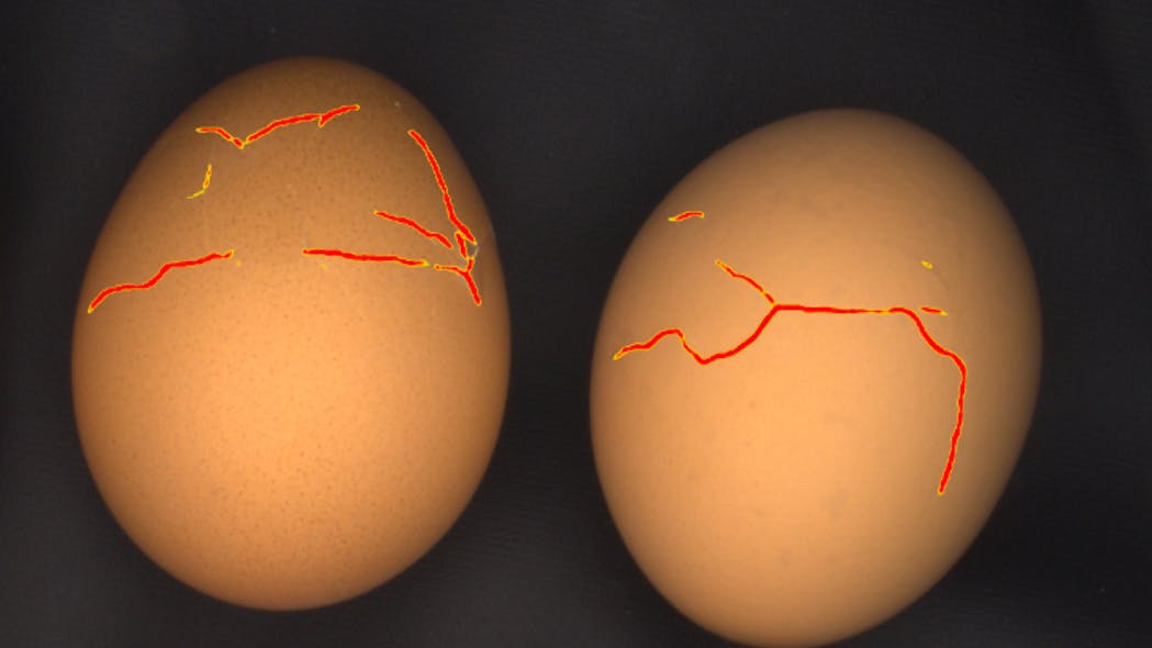 Drawing tools are used to highlight cracks on chicken eggs and create training images for deep learning feature detection tools.