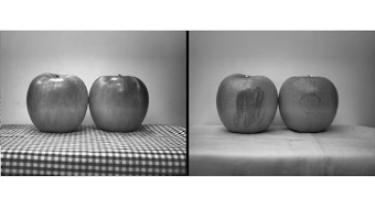 Figure 1: Visible light doesn't show bruising and defects (left), while SWIR imaging highlights bruises and otherwise invisible defects (right).