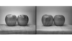 Figure 1: Visible light doesn't show bruising and defects (left), while SWIR imaging highlights bruises and otherwise invisible defects (right). Figure 1: Visible light doesn't show bruising and defects (left), while SWIR imaging highlights bruises and otherwise invisible defects (right).