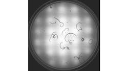 Base Page Hero Template 720 X 405 Base Page Hero Template 720 X 405