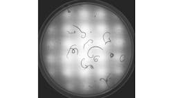 Base Page Hero Template 720 X 405 5f778ef5f20ed Base Page Hero Template 720 X 405 5f778ef5f20ed