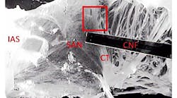 A sample tissue image preparation includes the intact atria and the region of the SAN. The following areas can be seen in the image: RA, right atrium; CT, crista terminalis; IAS, interatrial septum; IVC, inferior vena cava; SVC, superior vena cava; CNF, cardiac-near-field electrode. The 160 x 160 pixel ROI (red rectangle) was set to a region yielding high changes of average grey values.