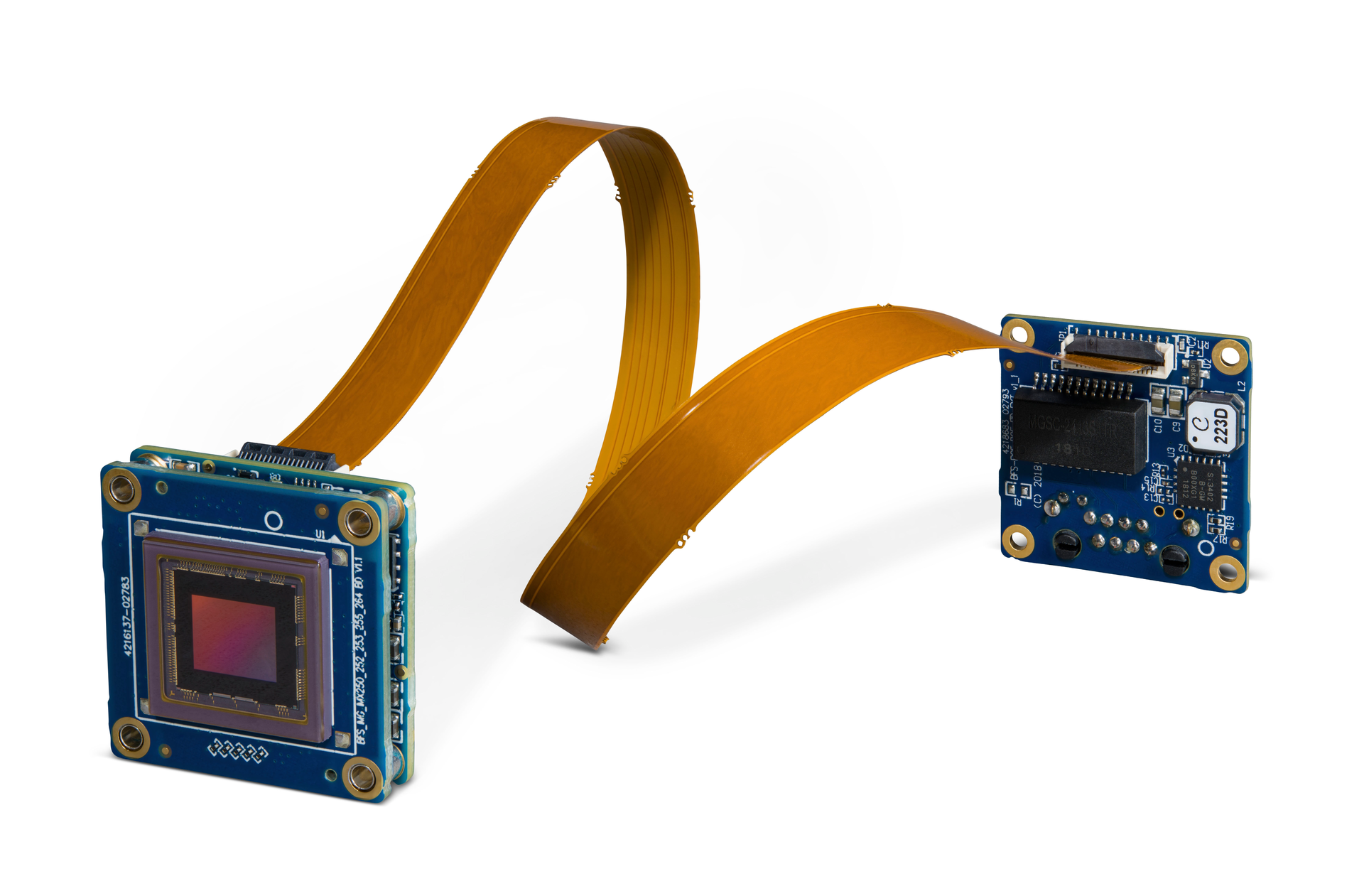 Bfs Bl Blue Cable 01 0519