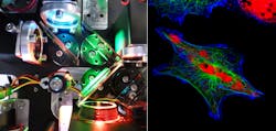 Multifluorescence Digital Microscopes