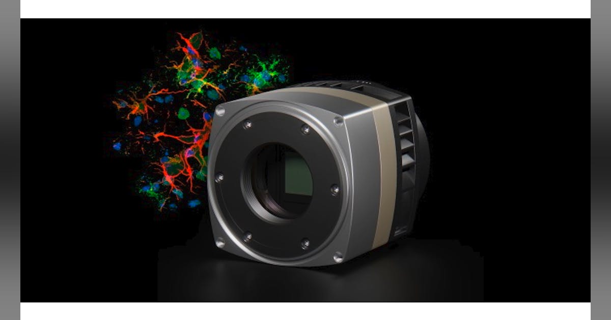 scientific sCMOS camera backside illuminated GSENSE sensors XIMEA ...