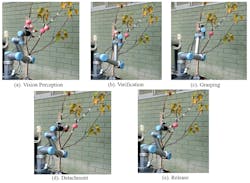 Figure 2: The Monash University researchers developed an algorithm that combines object detection, 3D modeling, and optimal path projection, to allow the robot to make successful picks.