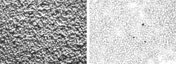 Figure 1: Detection of foreign particles in pharmaceutical powder. A bar light cannot illuminate the entire image, making it difficult to see contaminants, compared to a traditional dome light (right). (Photos and images courtesy of CCS America.) Figure 1: Detection of foreign particles in pharmaceutical powder. A bar light cannot illuminate the entire image, making it difficult to see contaminants, compared to a traditional dome light (right). (Photos and images courtesy of CCS America.)