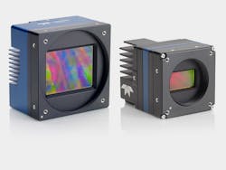 Falcon4 Family 6164a2a21b655 Falcon4 Family 6164a2a21b655