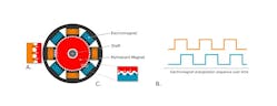 Figure 1. The basic design of a stepper motor (A). As the electromagnets are sequentially energized (B), teeth on the rotor are pulled into alignment with teeth on the energized electromagnet (C), while teeth on adjacent electromagnets are pulled out of alignment, setting the motor up for the next step. (Drawings courtesy of Zaber Technologies.) Figure 1. The basic design of a stepper motor (A). As the electromagnets are sequentially energized (B), teeth on the rotor are pulled into alignment with teeth on the energized electromagnet (C), while teeth on adjacent electromagnets are pulled out of alignment, setting the motor up for the next step. (Drawings courtesy of Zaber Technologies.)