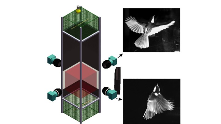 Experimental set-up with four synchronized Mikrotron EoSens cameras. (Photo courtesy of Mkrotron.)