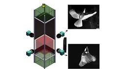 Experimental set-up with four synchronized Mikrotron EoSens cameras. (Photo courtesy of Mkrotron.) Experimental set-up with four synchronized Mikrotron EoSens cameras. (Photo courtesy of Mkrotron.)