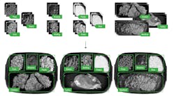 Figure 1: With as few as three&ndash;five images for each possible class, an edge learning system can be trained to classify each section of a frozen meal tray. (Photos courtesy of Cognex.)