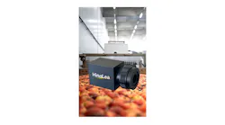 Vsd112422 Hinlea