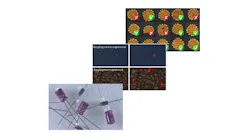 Deep Learning Bundle (vsd)