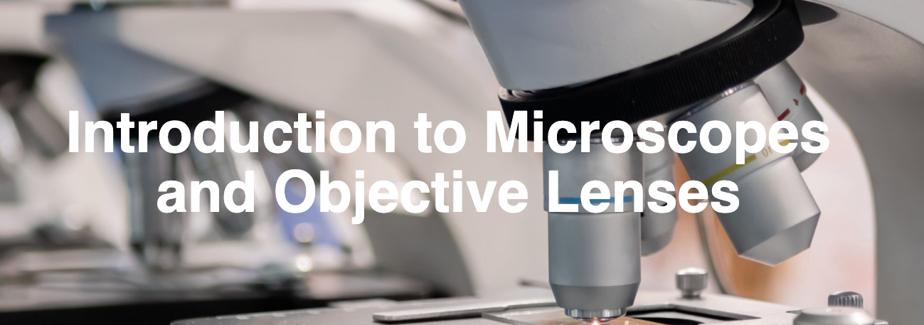 Screen Shot 2023 08 03 At 4 18 27 Pm