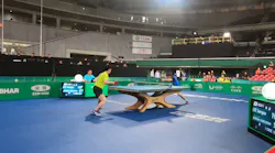 Table Tennis Norpix 845x321 Table Tennis Norpix 845x321