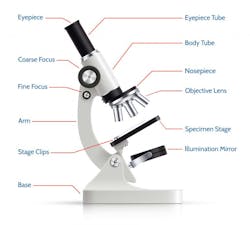 Adobe Stock 110493421 768x690 652054b782b2f Adobe Stock 110493421 768x690 652054b782b2f