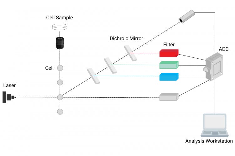 Principle of Flow Cytometry