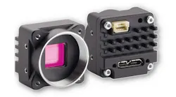 dragonflyvsd