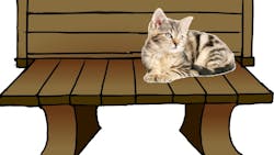 Figure 1: One cat on a bench. Figure 1: One cat on a bench.