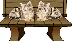Figure 2: Two cats on a bench