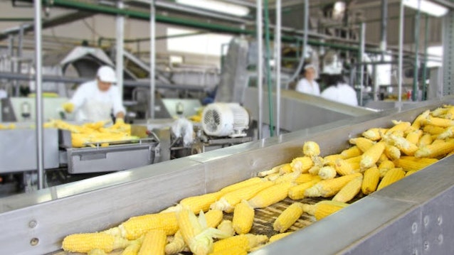 Figure 1: Food processing is an example of an industry that deploys rigorous methods to clean equipment--all of which are tough on lighting products.